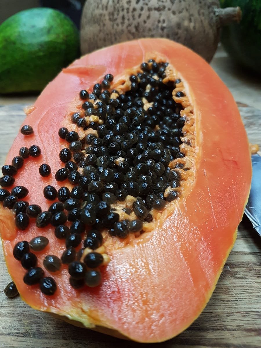 Batidas tropicales para ser feliz